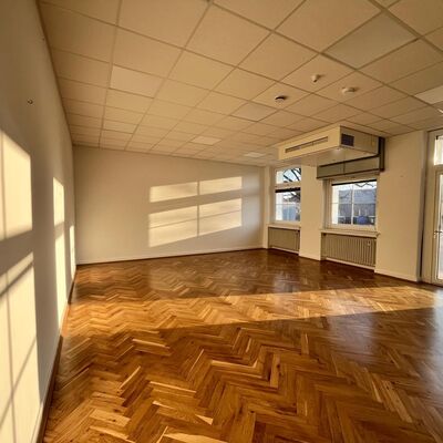 Der neue B�renklassenraum