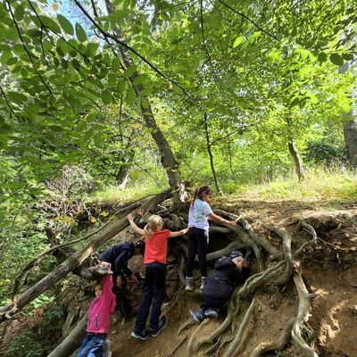 Waldtag 2026