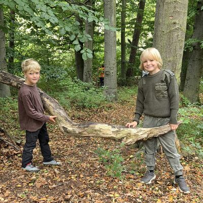Waldtag 2026