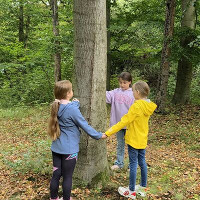 Waldtag 2026